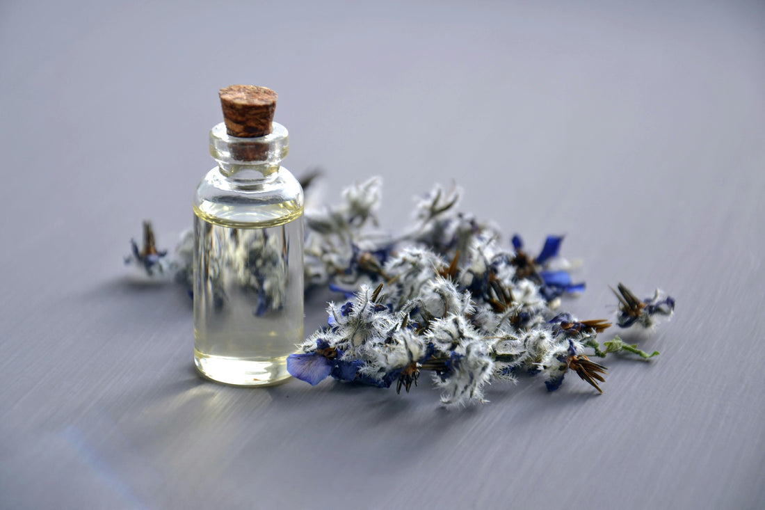Discover Niche Perfumes with Affordable Fragrance Decants