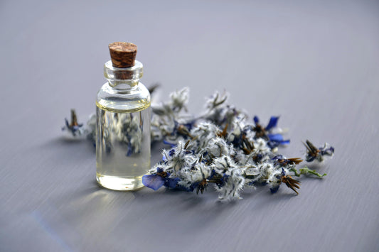 Discover Niche Perfumes with Affordable Fragrance Decants